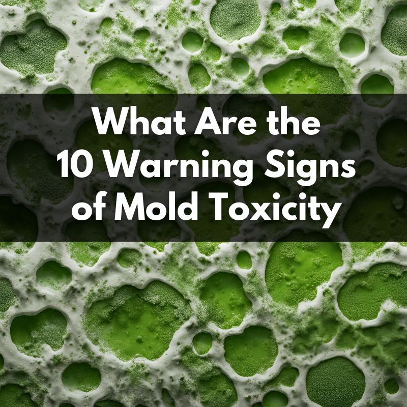 what are the 10 warning signs of mold toxicity