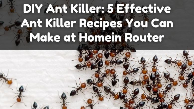 DIY Ant Killer: 5 Effective Ant Killer Recipes You Can Make at Home