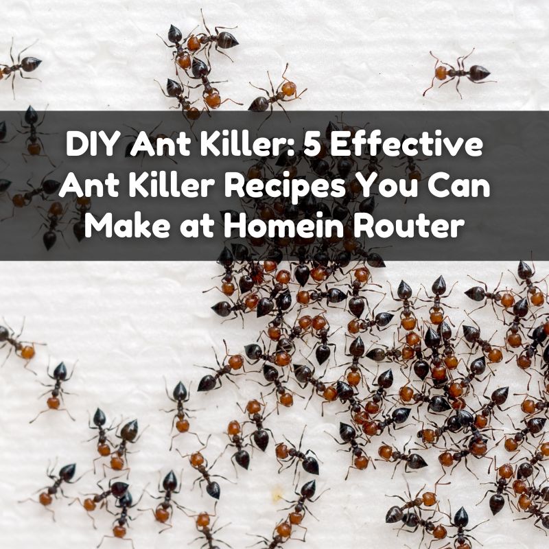 DIY Ant Killer: 5 Effective Ant Killer Recipes You Can Make at Home