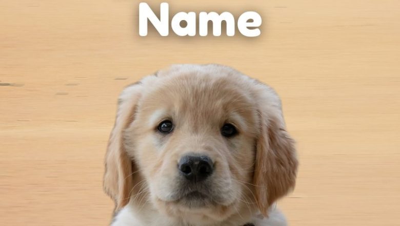 Dog Scientific Name