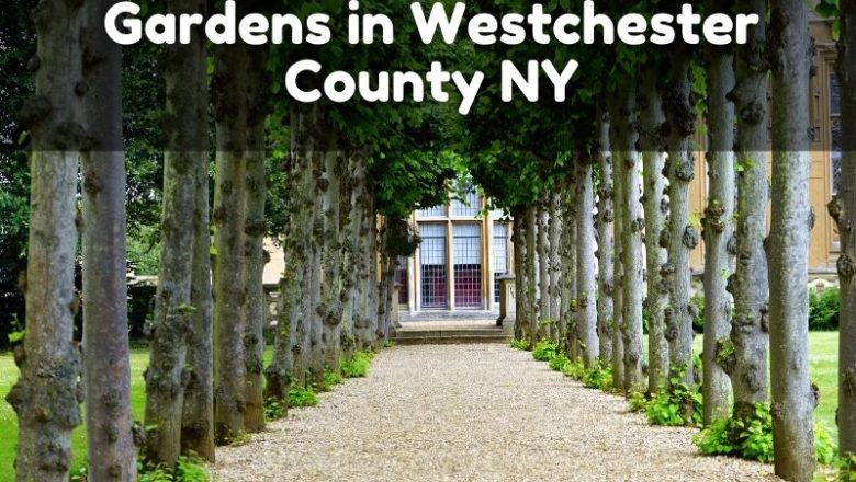 Gardens in Westchester County NY