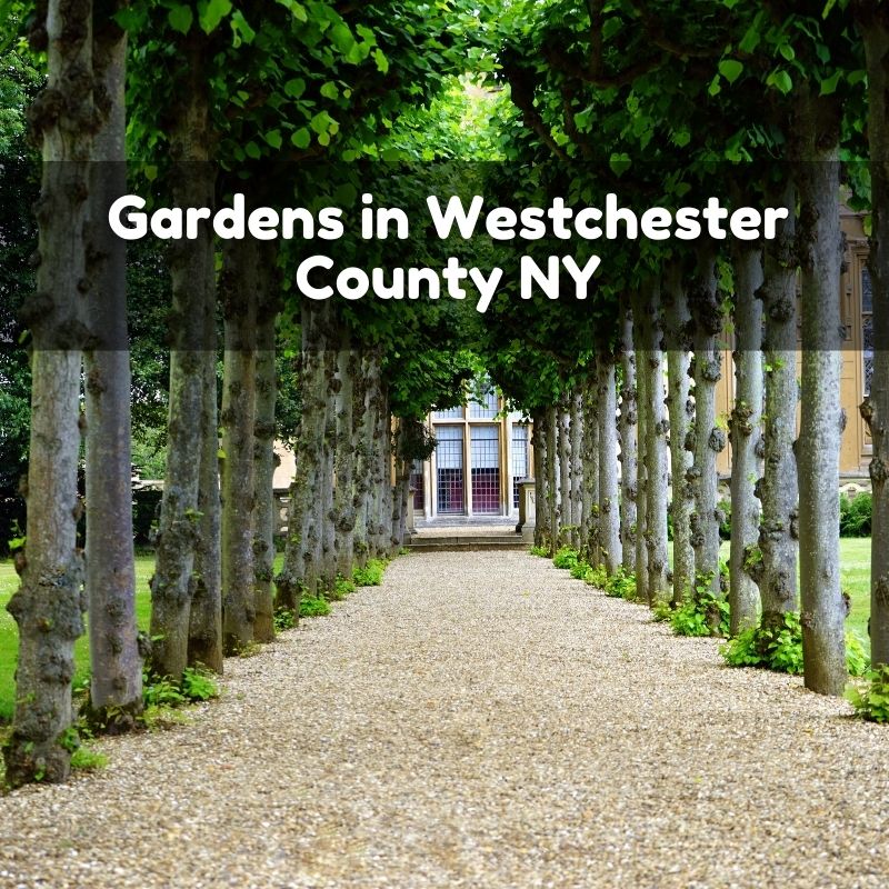 Gardens in Westchester County NY