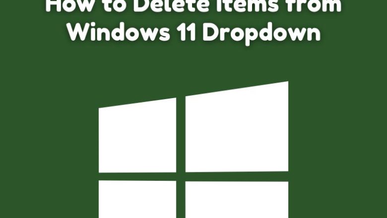 How to Delete Items from Windows 11 Dropdown