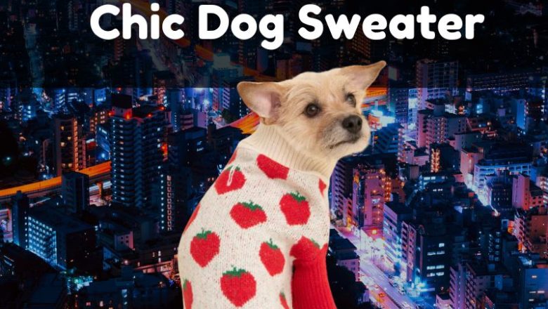 How to Make a Chic Dog Sweater: A Step-by-Step DIY Guide