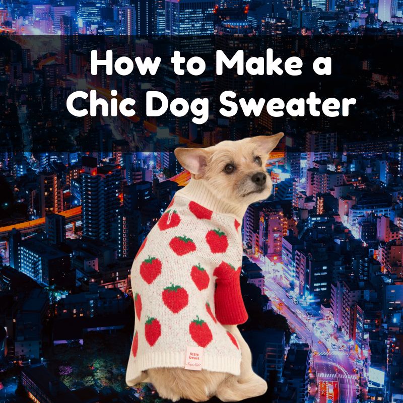 How to Make a Chic Dog Sweater