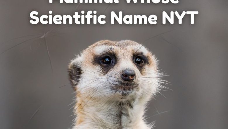 Mammal Whose Scientific Name NYT