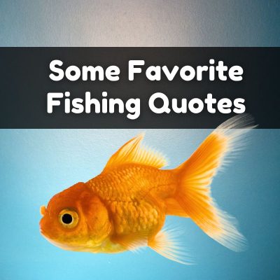 Some Favorite Fishing Quotes