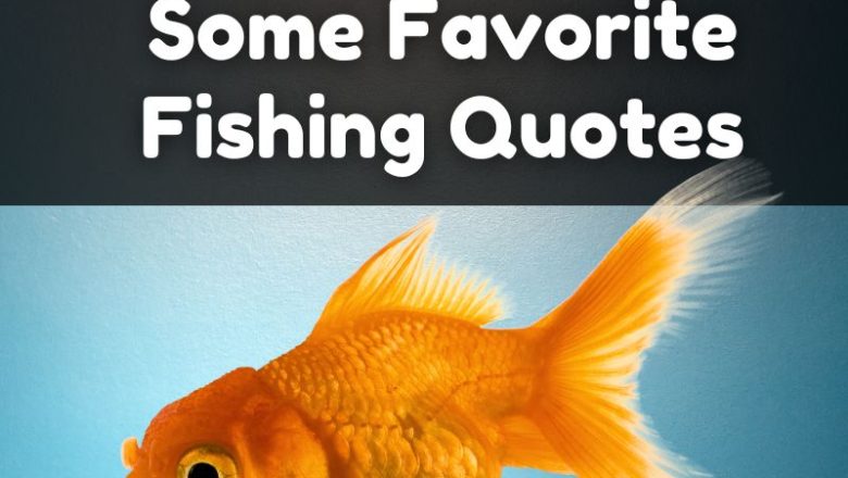 Some Favorite Fishing Quotes